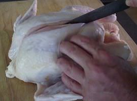Butchering a chicken.