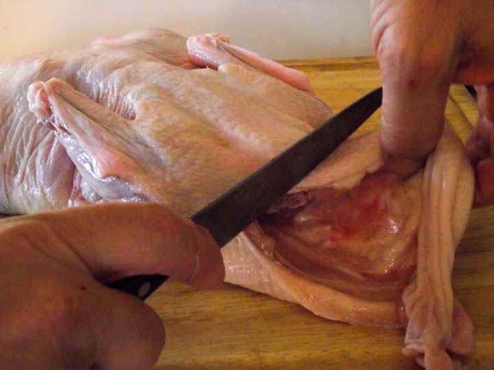 Removing the excess skin from the neck.