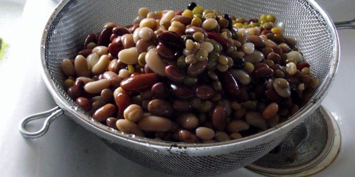 Beans in a strainer after soaking.