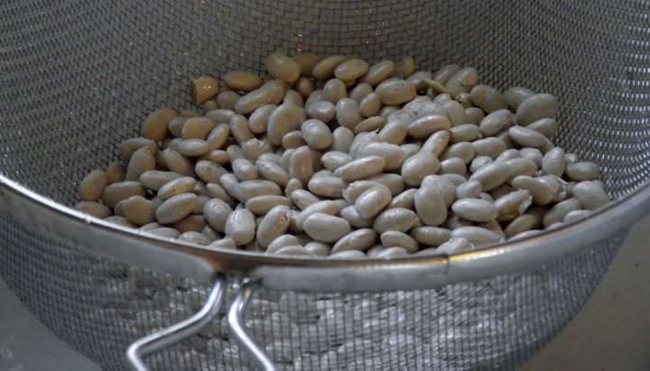 Beans in a strainer being rinsed.