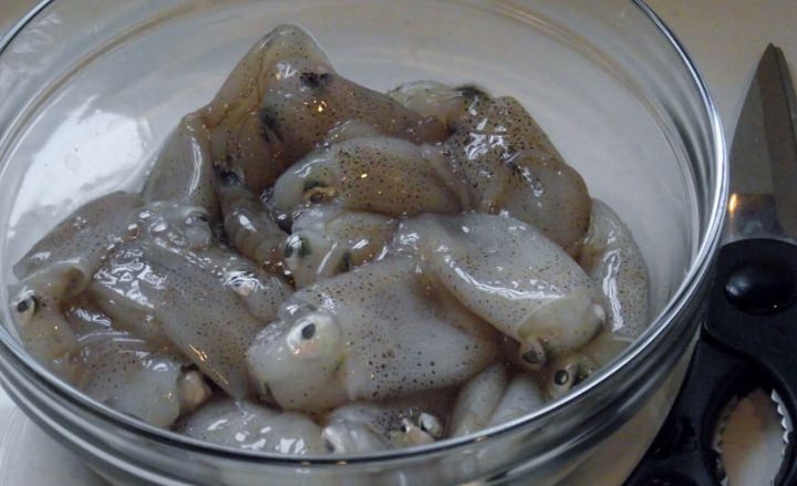Calamari in a bowl.