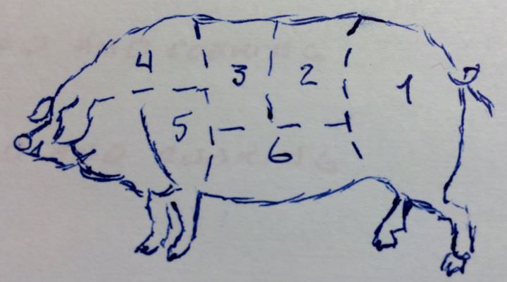 Drawing of a hog cut chart.