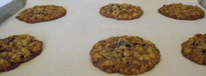 The cookies cooling on a cookie sheet.