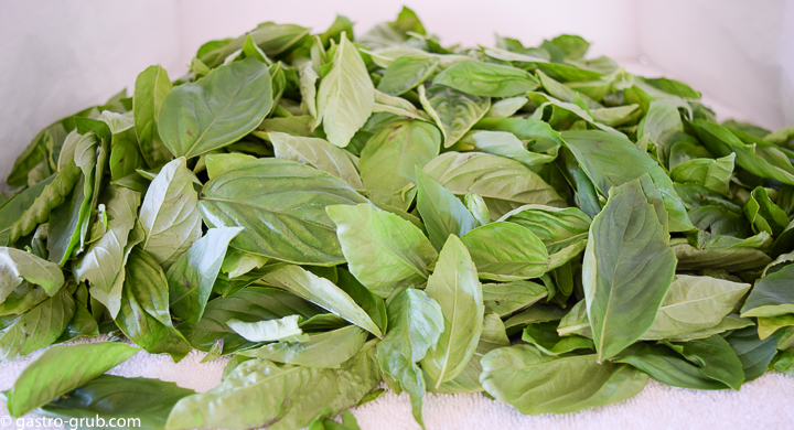 Basil leaves drying on a towel.