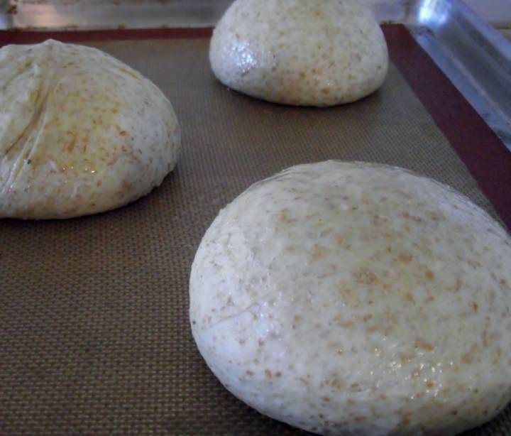 Pizza dough ready to proof.