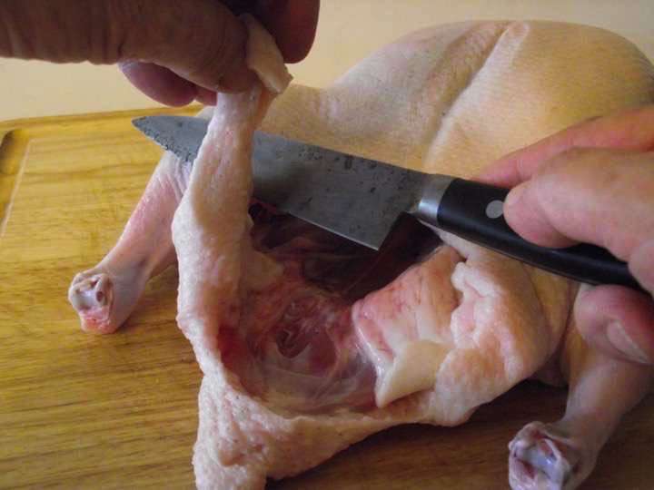 Removing the excess skin from the duck's cavity.