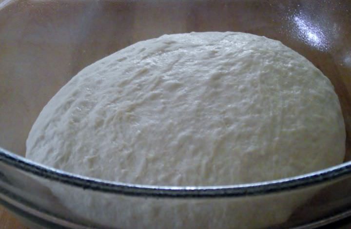 Sourdough bread rising in a bowl.