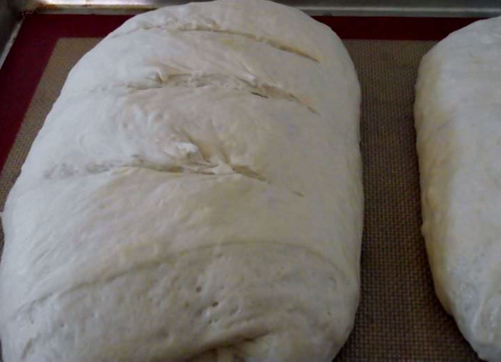 Sourdough loaves proofed and ready to bake.