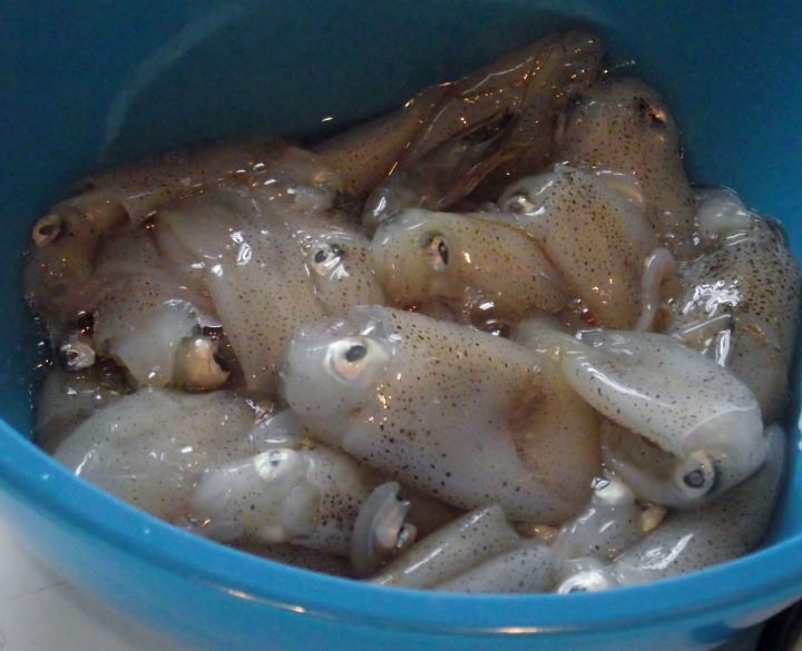 Squid in a bowl.