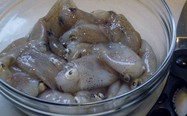 Cleaning calamari or squid.