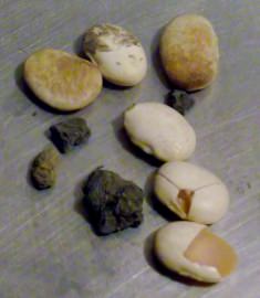Damaged beans and dirt.