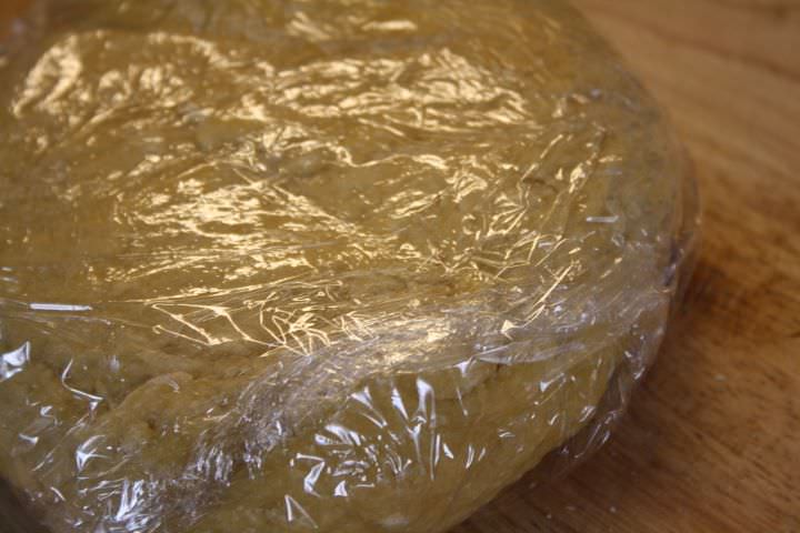 Fresh pasta dough resting