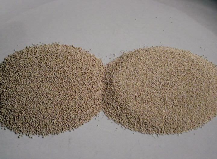 A side by side photo comparing active dry yeast to instant yeast.